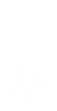 BAD DINGO PRODUCTIONS